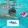 Cogua Aquatics