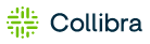 Collibra's logo Collibra's Company logo