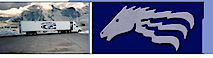 Colt Express Transportation's logo Colt Express Transportation's Company logo