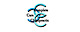 Ccarechiro