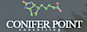 Conifer Point Consulting