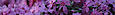 Be The Dream, Llc's Competitor - Connie Queen logo