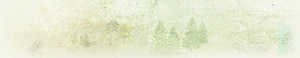Connor Paolo's logo Connor Paolo's Company logo
