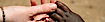 33 Words's Competitor - Weneedwild logo