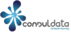 Consuldata