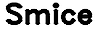 Compliantia's Competitor - Smice logo