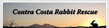 Contra Costa Rabbit Rescue's logo Contra Costa Rabbit Rescue's Company logo