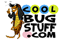 Cool Bug's logo Cool Bug's Company logo