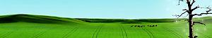 Coopertours