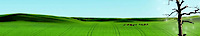 Coopertours