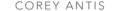 bhs telecom, inc.'s Competitor - Corey Antis logo