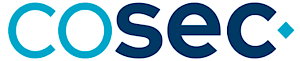 CoSec Consulting