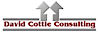 7 Steps Ahead's Competitor - Cottle Consulting logo