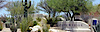 Coyote Ridge Hoa