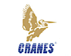 Cranes Software