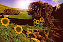 Creativeartworkfromtheheart's logo Creativeartworkfromtheheart's Company logo