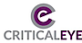 Peerscale's Competitor - Criticaleye logo