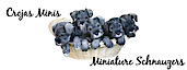 Crojas Minis's logo Crojas Minis's Company logo