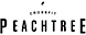 CrossFit Peachtree