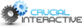 Crucial Interactive's company profile