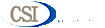 CSI Accounting Services