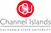 CSUCI's company profile