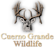 Cuerno Grande Wildlife
