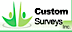 Custom Surveys