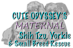 Cuteodyssey