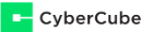 CyberCube