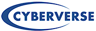 Cyberverse, Inc.