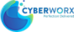 Cyberworx's company profile