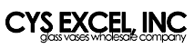 CYS Excel's logo CYS Excel's Company logo