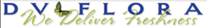 D V Flora's logo D V Flora's Company logo