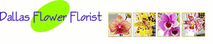 Dallas Flower Florist's logo Dallas Flower Florist's Company logo