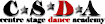 Apastudios's Competitor - Dancecentrestage logo