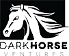Dark Horse Ventures's logo Dark Horse Ventures's Company logo