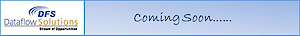 Dataflow Solutions's logo Dataflow Solutions's Company logo