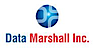 Certive's Competitor - Data Marshall logo