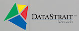 Data Strait's logo Data Strait's Company logo