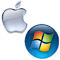 Database Publishing Systems