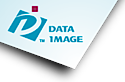 DataImage's logo DataImage's Company logo
