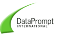 DataPrompt's logo DataPrompt's Company logo