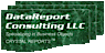 Welcome Wagon's Competitor - Datareport Consulting logo
