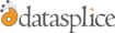 Datasplice's company profile