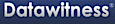 Datawitness's company profile
