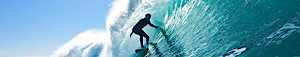 David Drickhamer's logo David Drickhamer's Company logo