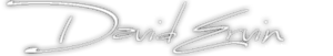 David Ervin's logo David Ervin's Company logo