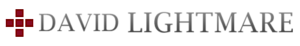 David Lightmare's's logo David Lightmare's's Company logo