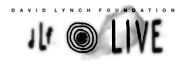 David Lynch Foundation